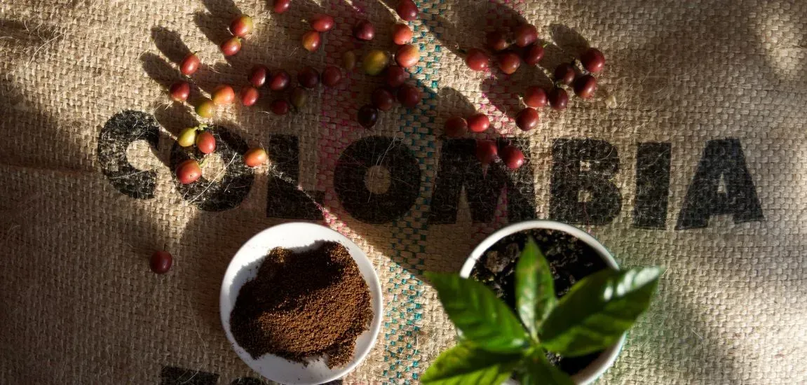 Vydej se s námi ke zdroji kofeinového potěšení a objev ty nejzajímavější kávové plantáže