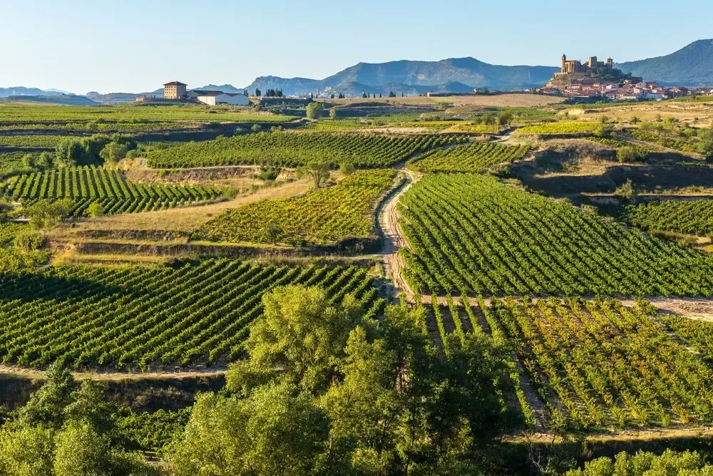 Hay rutas y catas para conocer la cultura del vino en tan solo un par de días — Shutterstock