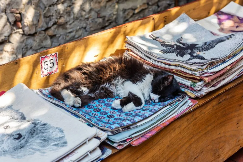 Cat asleep on textiles at Turkish market — Getty Images