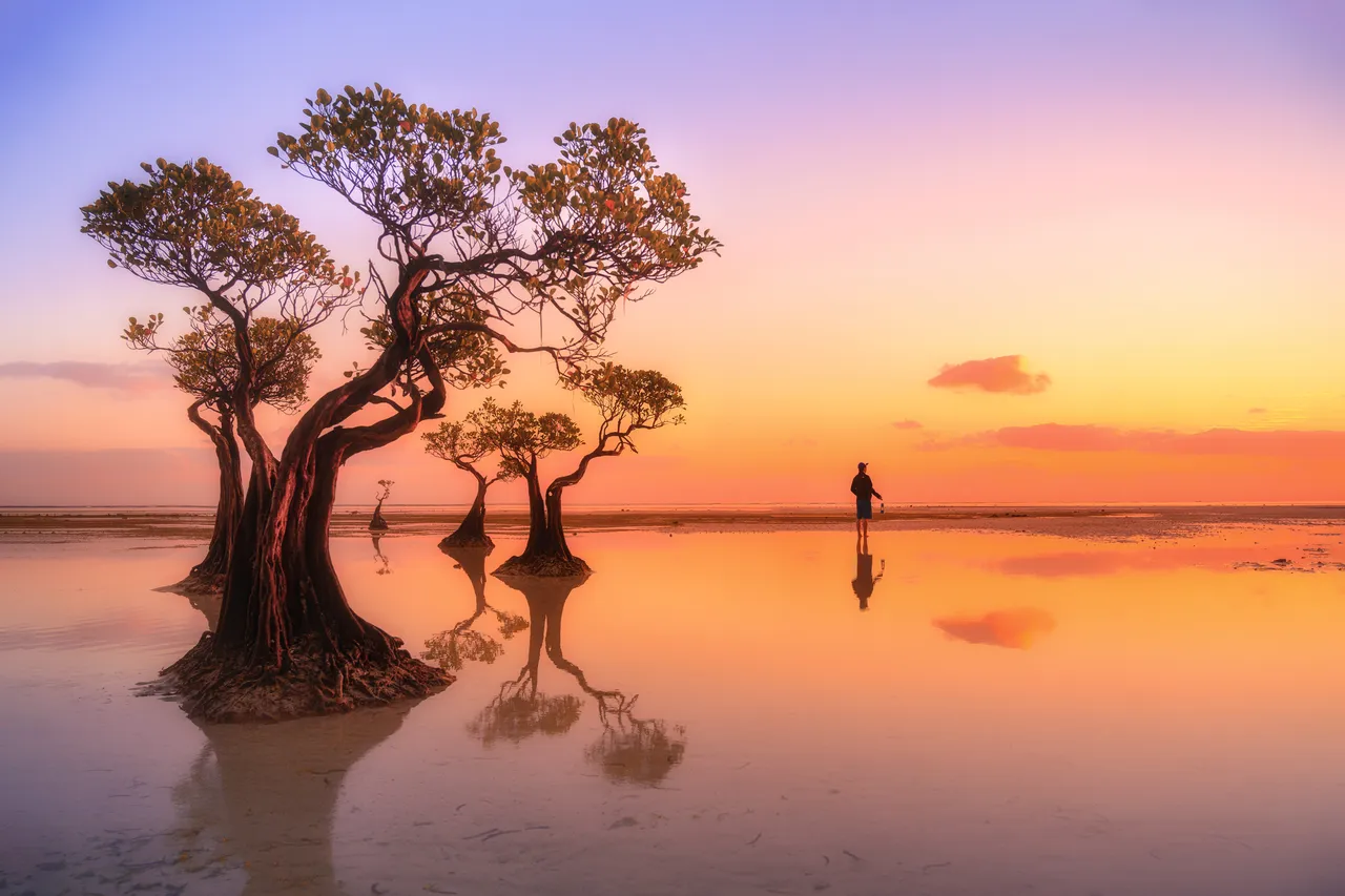 The tropical Indonesian island of Sumba