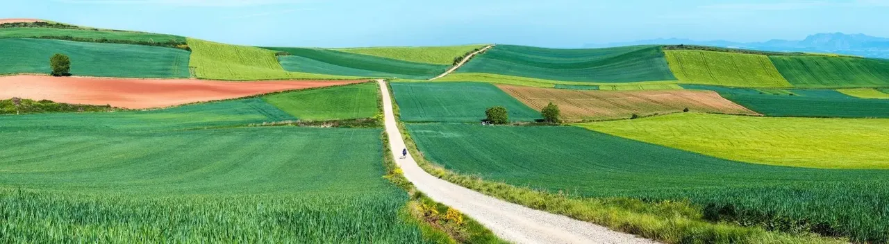 Pielgrzymka Szlakiem Świętego Jakuba - porady dotyczące Camino de Satiago de Compostela