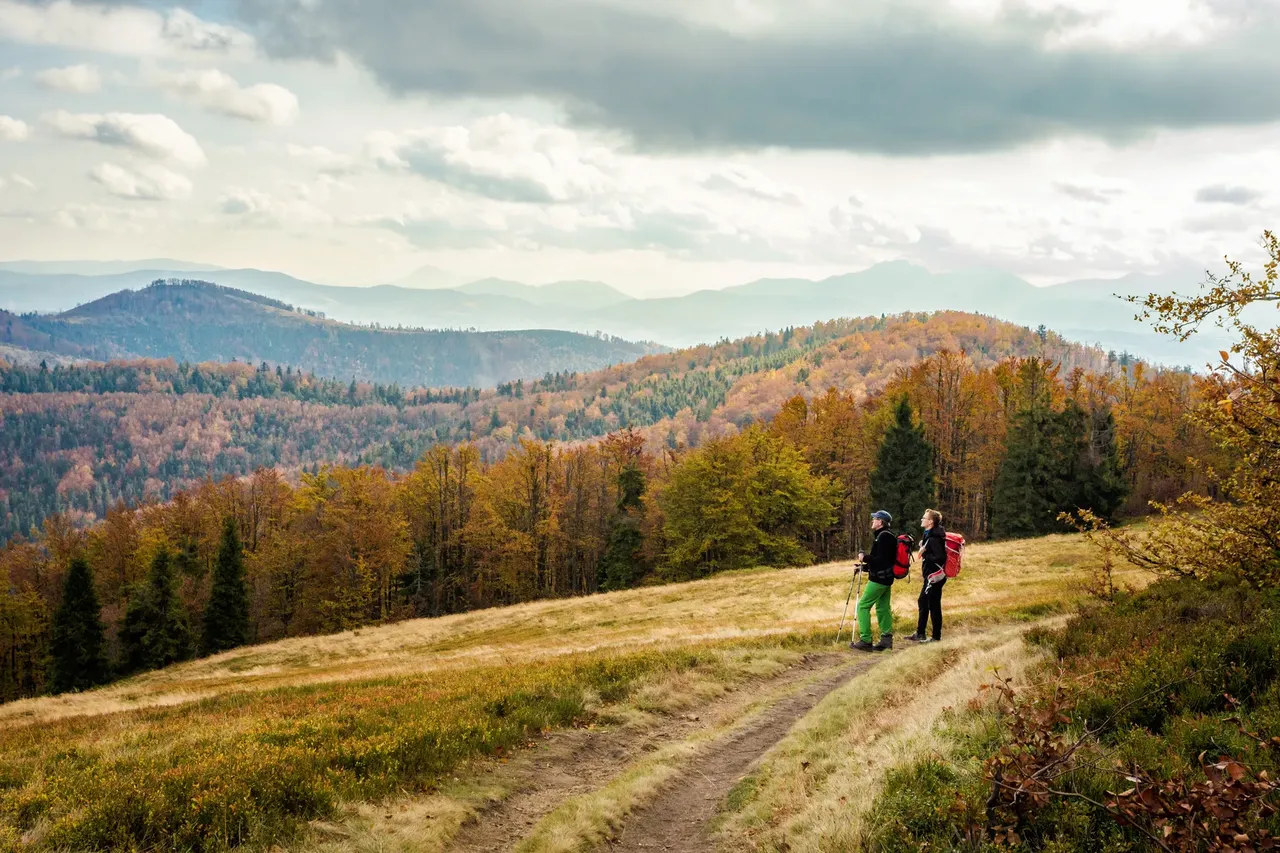 Dwoje turystów z plecakami i kijkami na trekkingu w Beskidach jesienią