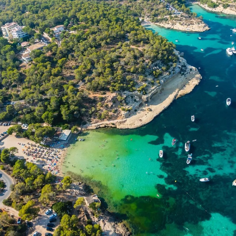 Vuelo de ida y vuelta a Palma de Mallorca por solo 29€