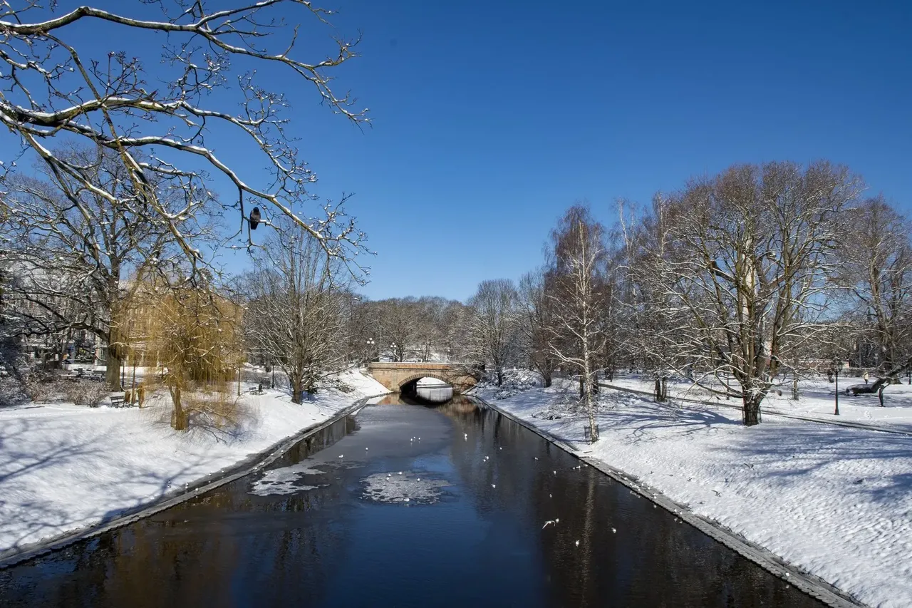 Riga hóval borított csatornája, deres fákkal körülvéve – idilli tájkép.