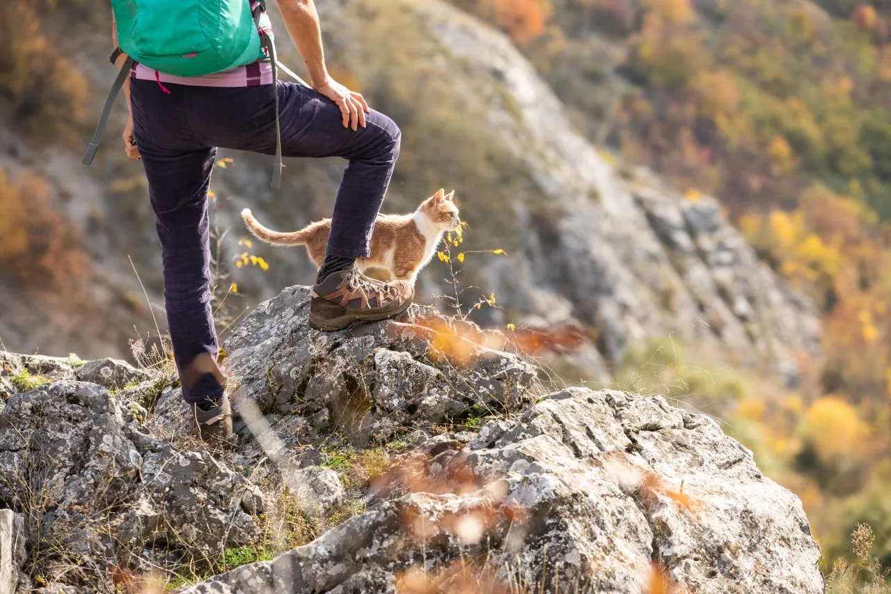 Cat keeps company to woman while she’s enjoying the view during hiking