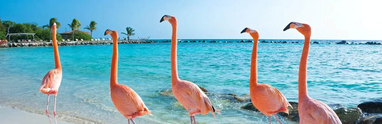 The 6 best places to travel in June 2019