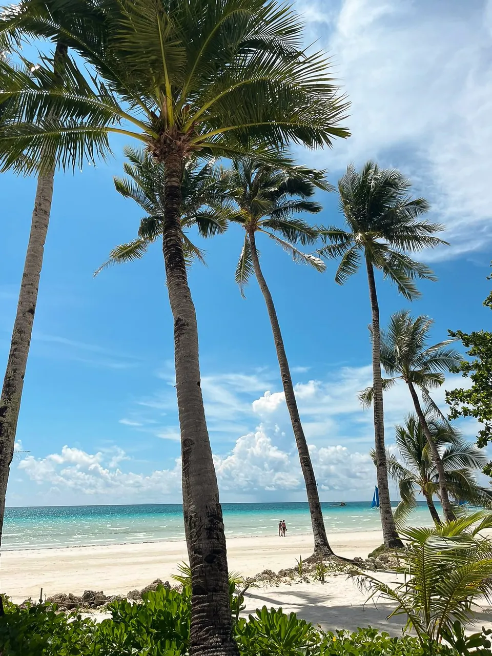 Palm trees, infinity ocean and white sand beaches on the tropical island of Boracay, Philippines