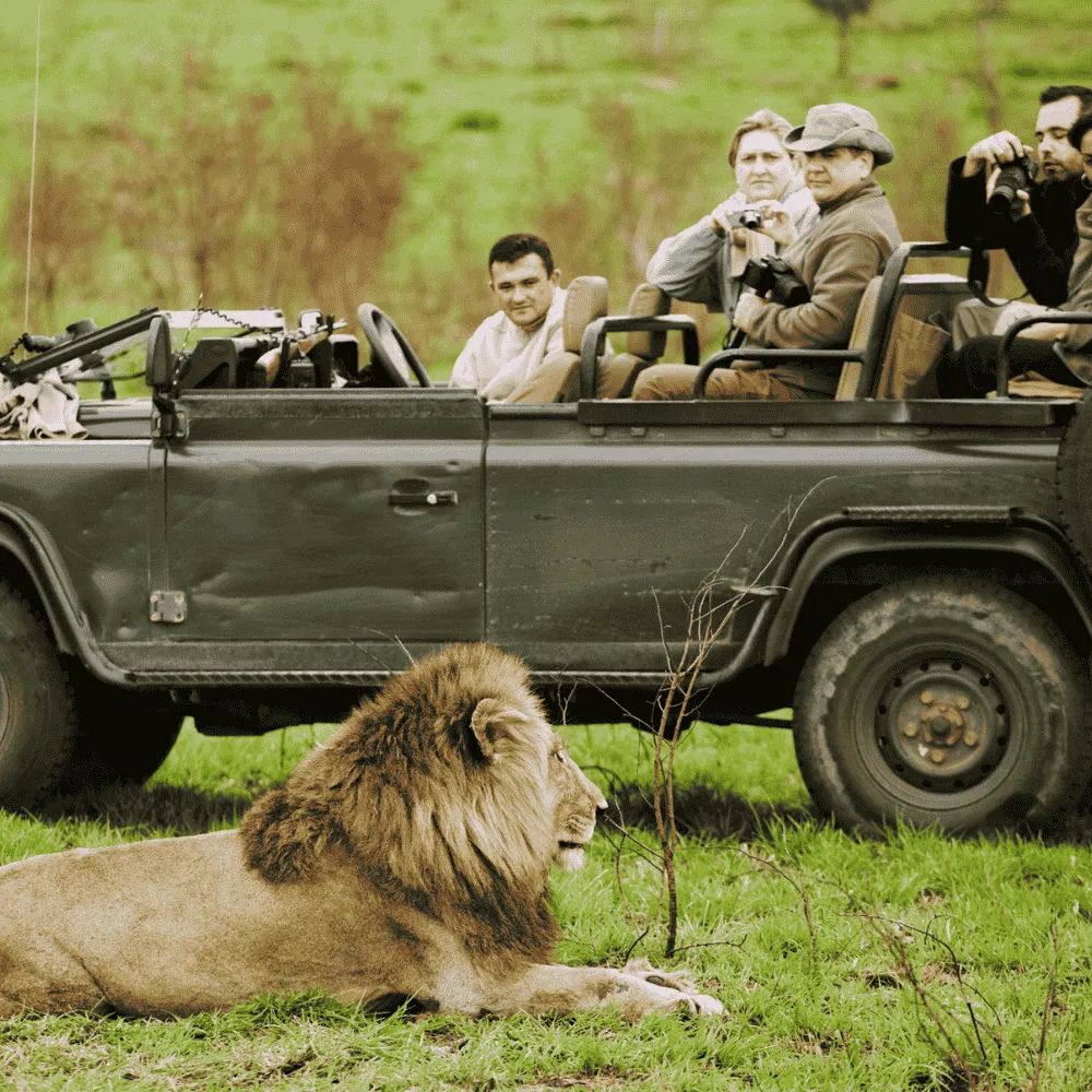 Tu safari africano en marzo: dónde ver la mejor fauna salvaje