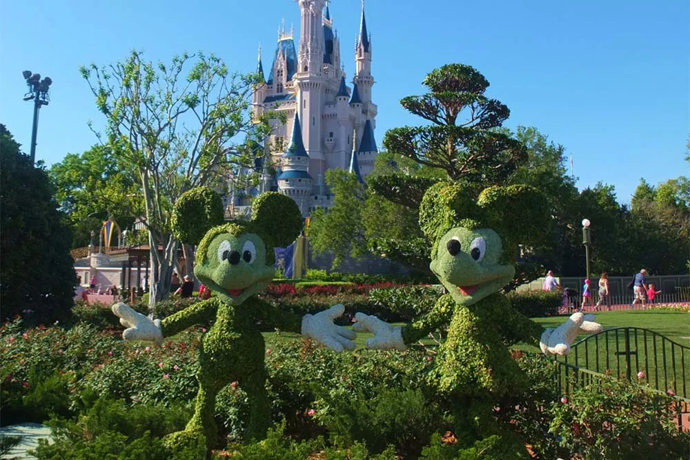 Mickey and Minnie Mouse topiary at Walt Disney World — traveljunction, CC BY-SA 2.0, via Wikimedia Commons