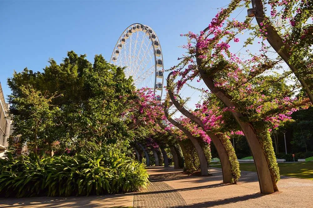 Walkway on Brisbane’s South Bank with ferris wheel in the background — Shutterstock