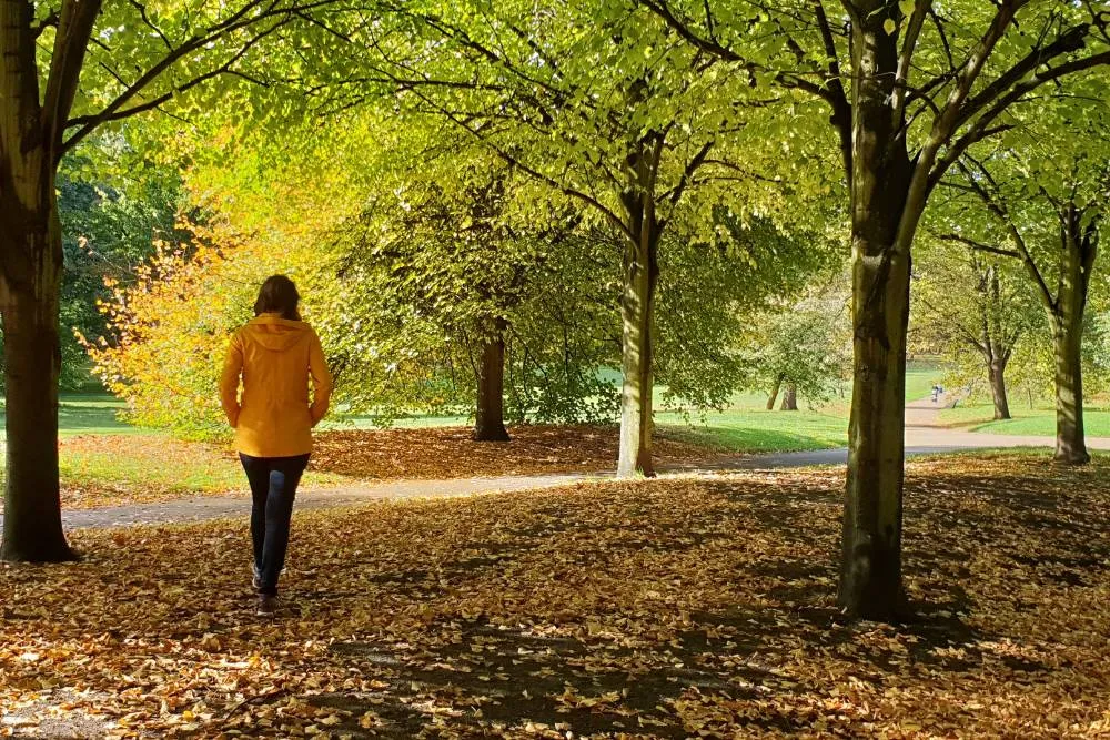 Person walking in park in fall — Getty Images