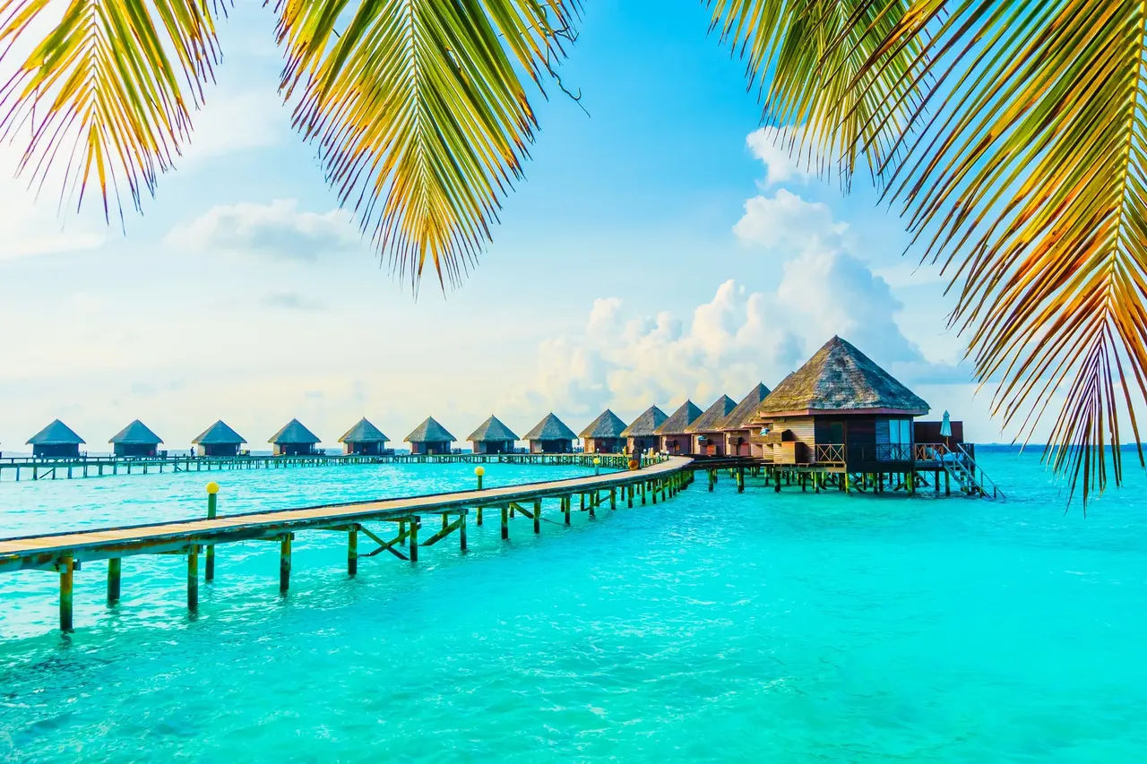 The Maldives is perfect for scuba diving in summer – Shutterstock 6 best places to travel in August