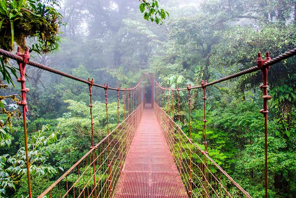 Costa Rica drámai beavatkozások révén megmentette az erdői életét