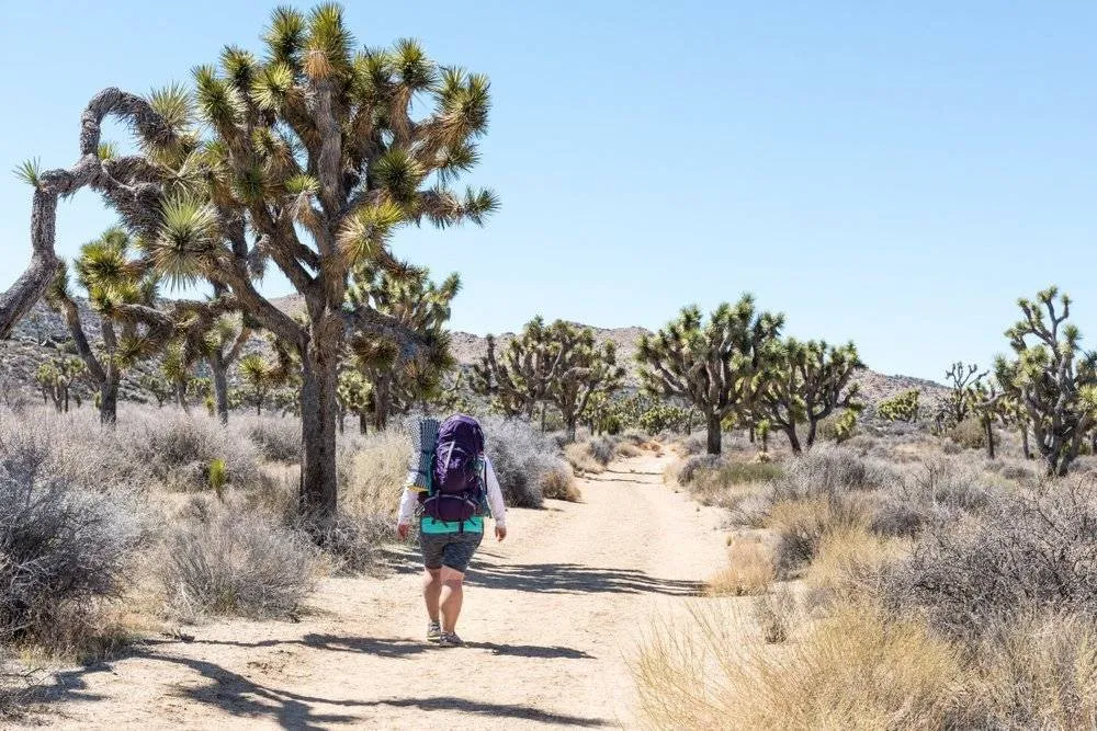 If all that relaxing sounds far too much like hard work then head out of town for hiking, cycling or golf in the surrounding area — Shutterstock 6 best places to travel in November 2019