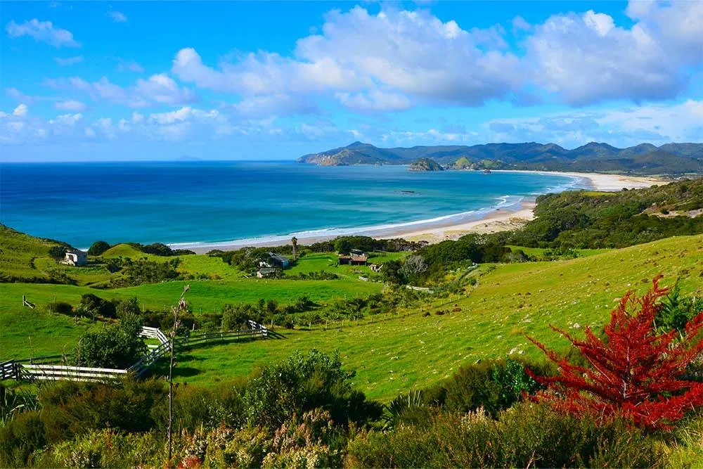 View of the green hills and the beach of Great Barrier Island — Shutterstock