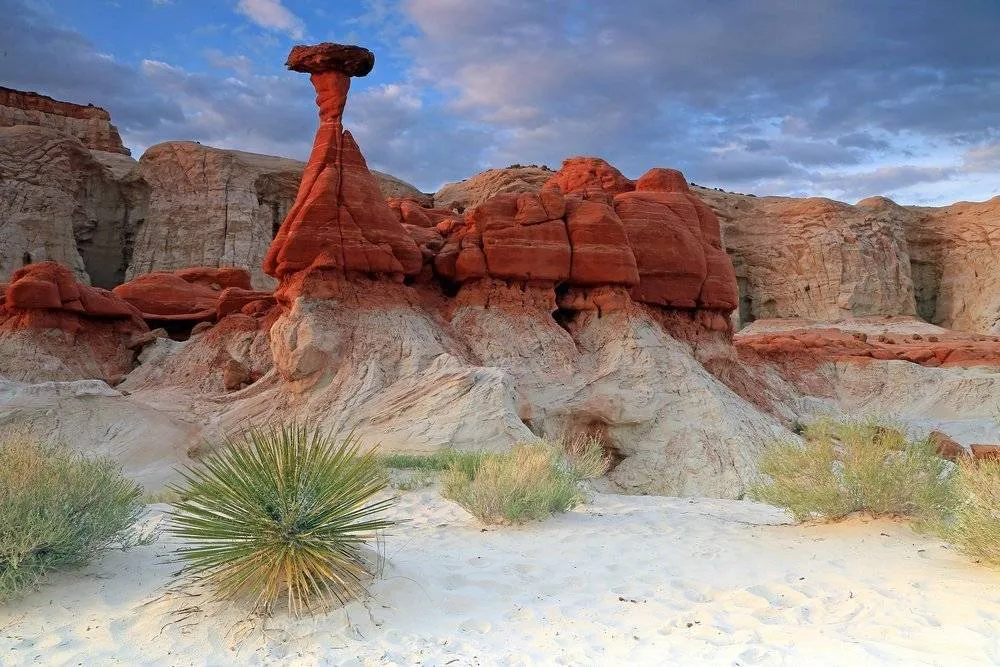If you’re only driving through on your way elsewhere, don’t forget to look for giant Toadstools