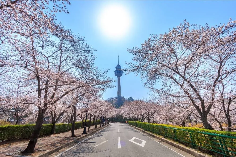 83Tower in Daegu in the distance from Duryu Park — Shutterstock