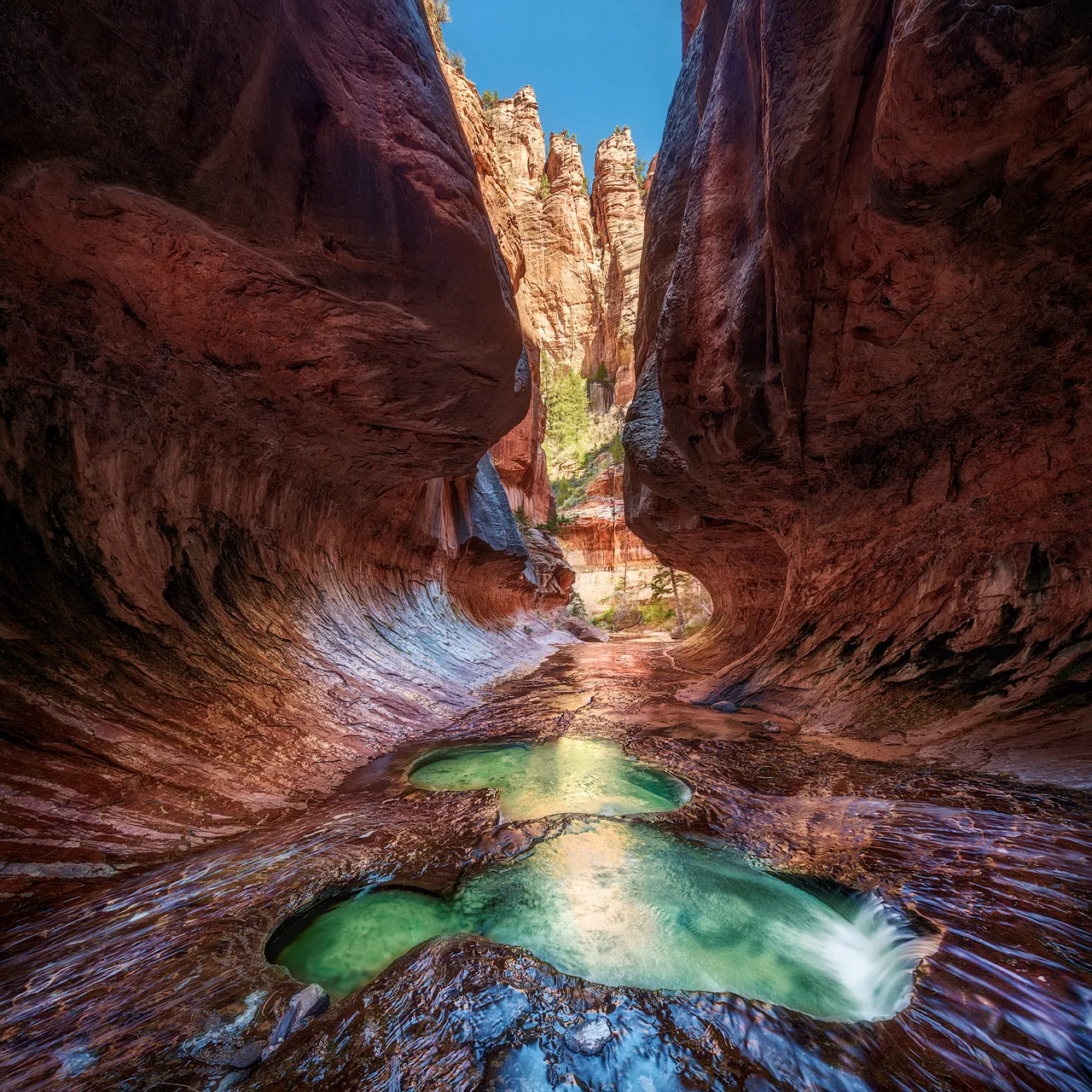 Zářivé barvy v úzkém kaňonu, kterým protéká říčka. Kaňon Subway, levá odbočka kaňonu North Creek, Národní park Zion, Utah.