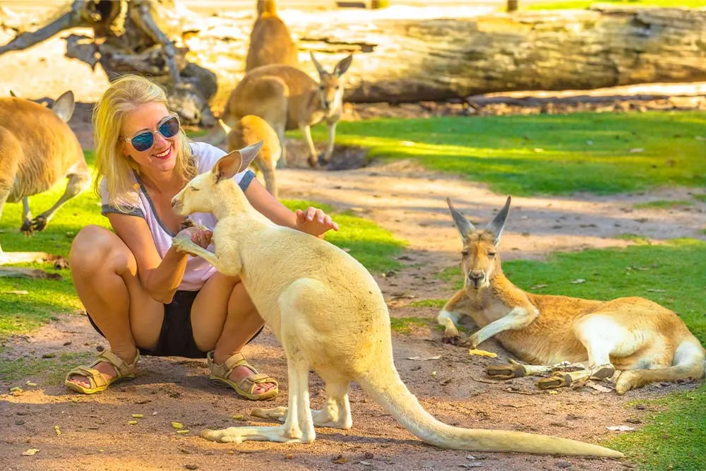 Tourist woman with a kangaroo — Shutterstock