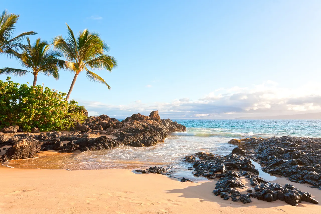 Scenic beach in Hawaii with palm trees and rocky shoreline