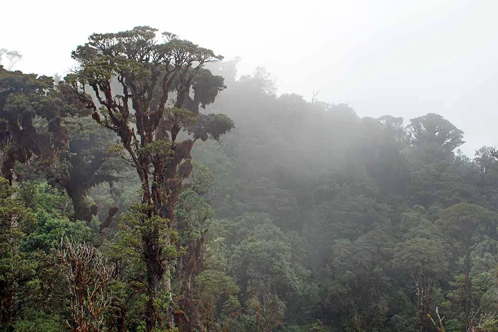 Buena parte de la población de Papúa Nueva Guinea vive en el interior montañoso del país