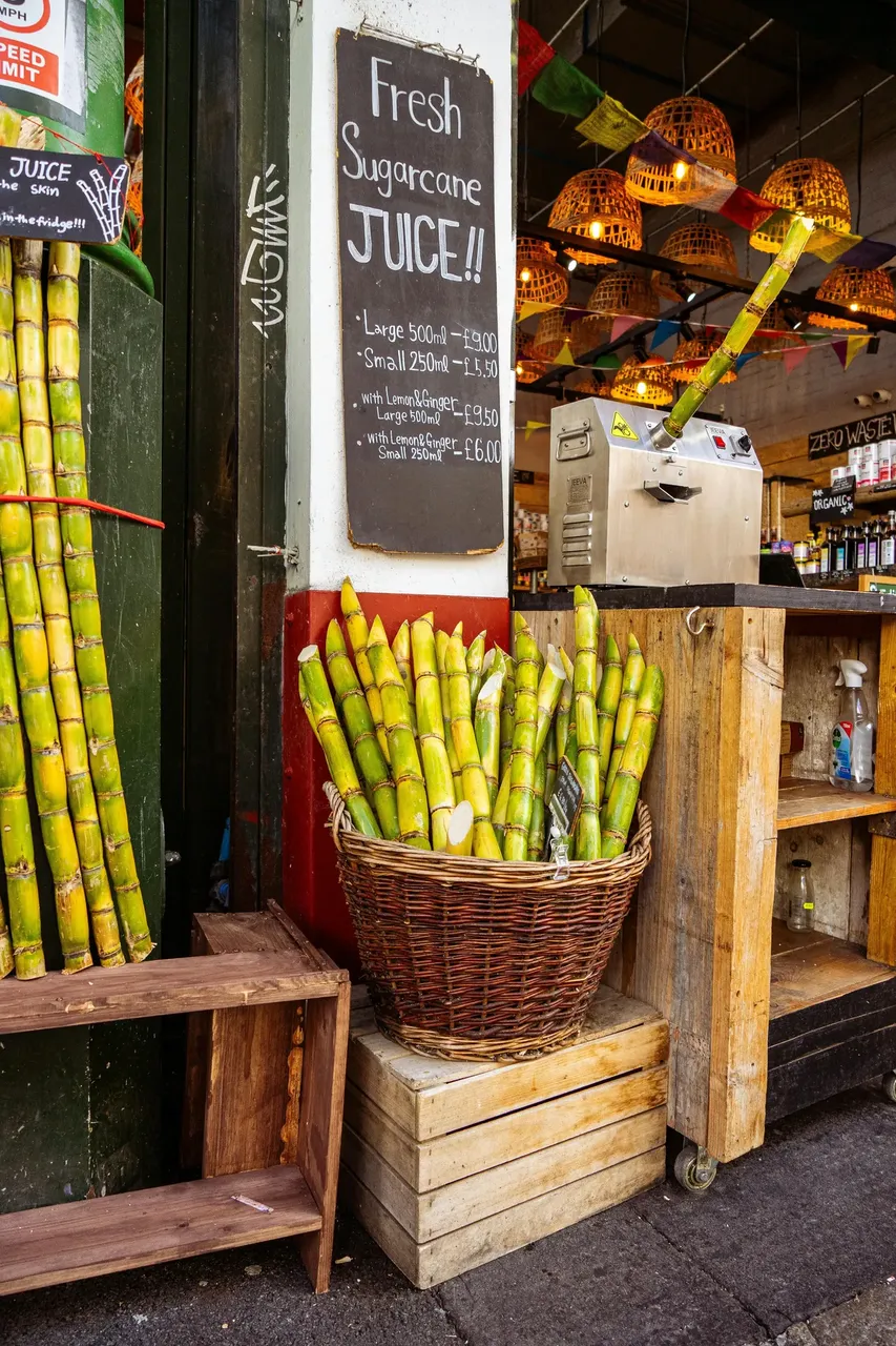 Freshly cut sugarcanes bundled together, ready to be juiced at a local market in Jeddah