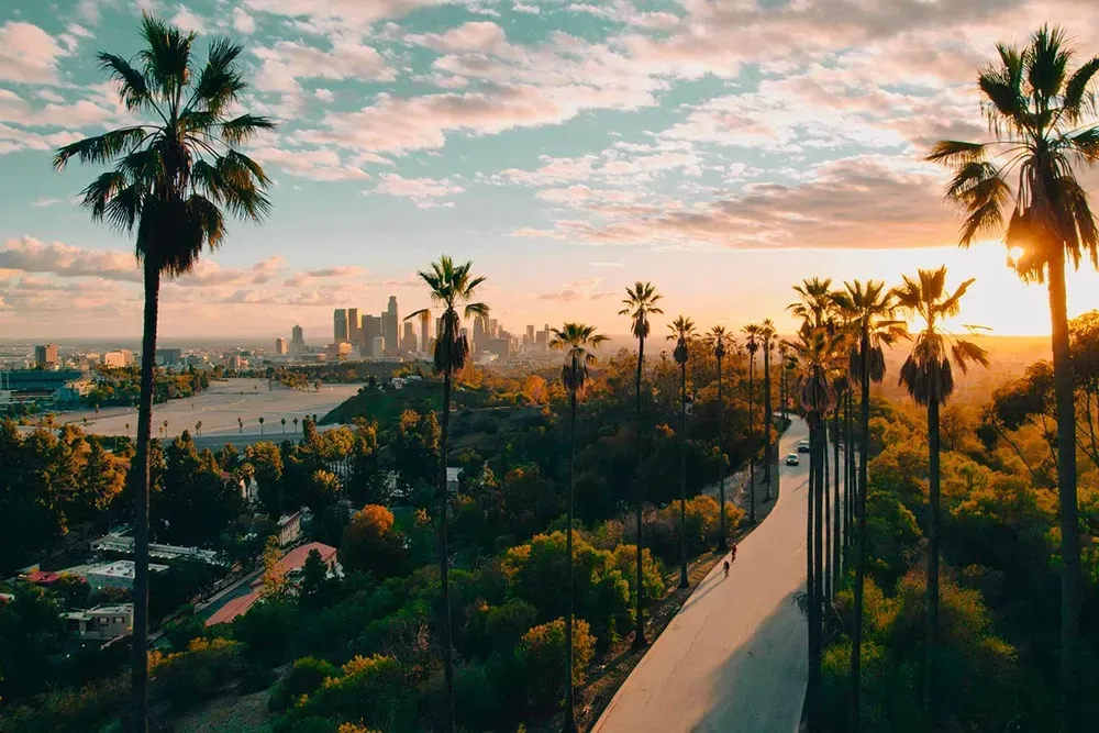 Widok na Los Angeles z palmami o zachodzie słońca