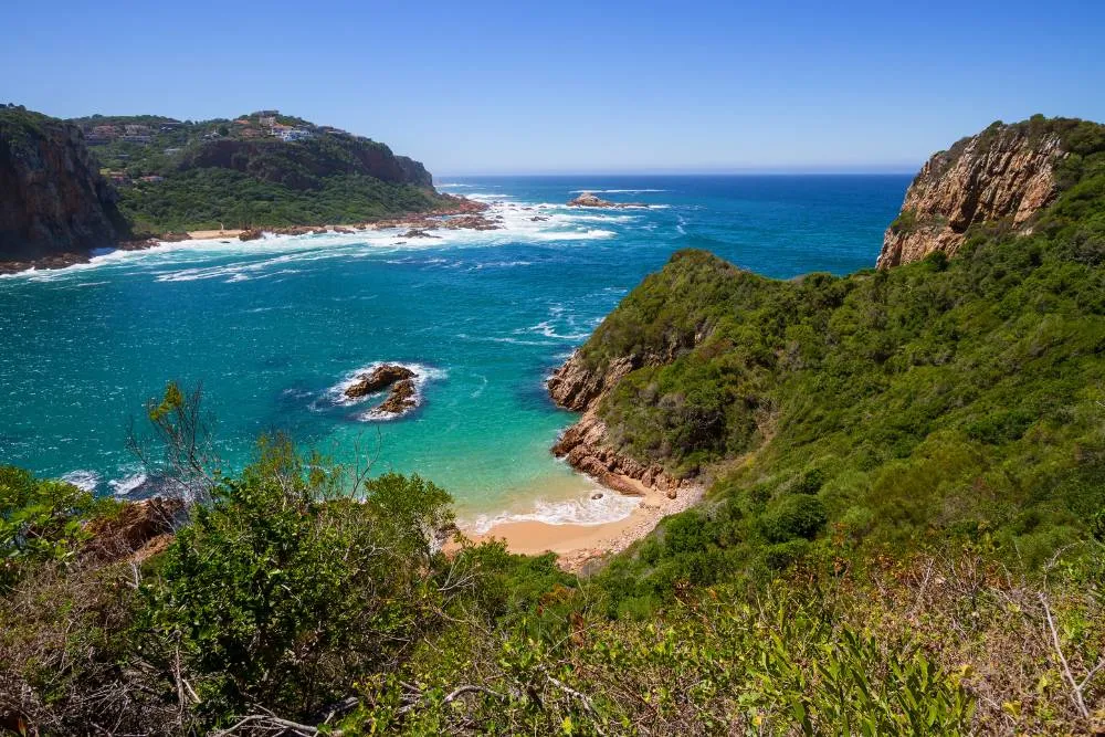 Featherbed Nature Reserve by the beach in Knysna — Getty Images