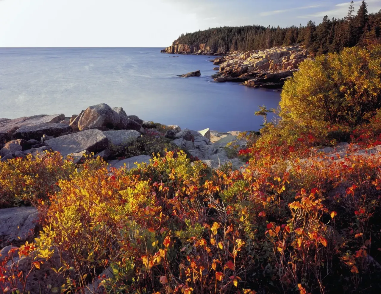 Colorful fall foliage in Acadia National Park, Maine.