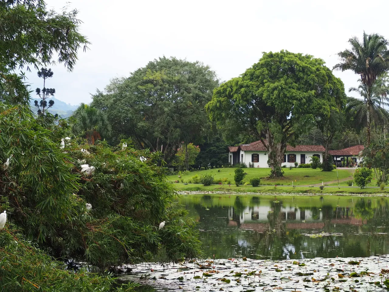 There is not much to the city of Turrialba, other than the volcano that sits on its edge – Shutterstock Costa Rican