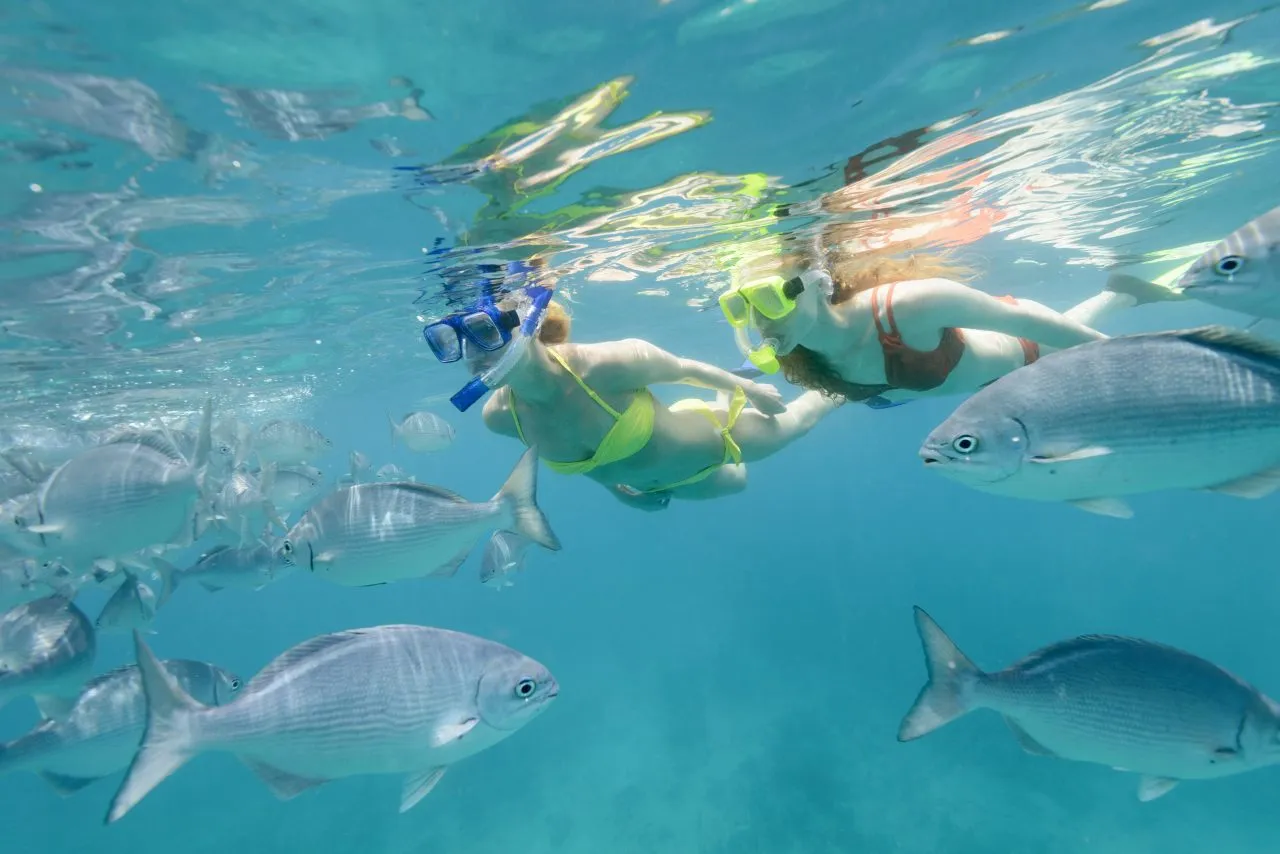 Snorkeling in The Caribbean Sea, girls, sea, barbados, beach