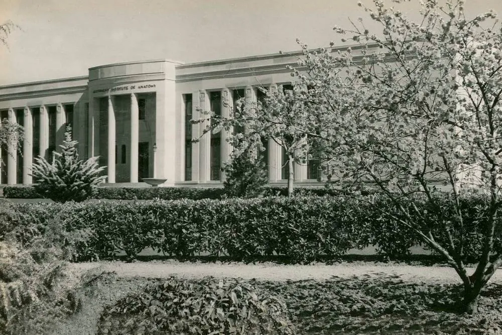 Old black-and-white photograph of the Australian Institue of Anatomy — State Records NSW, No restrictions, via Wikimedia Commons
