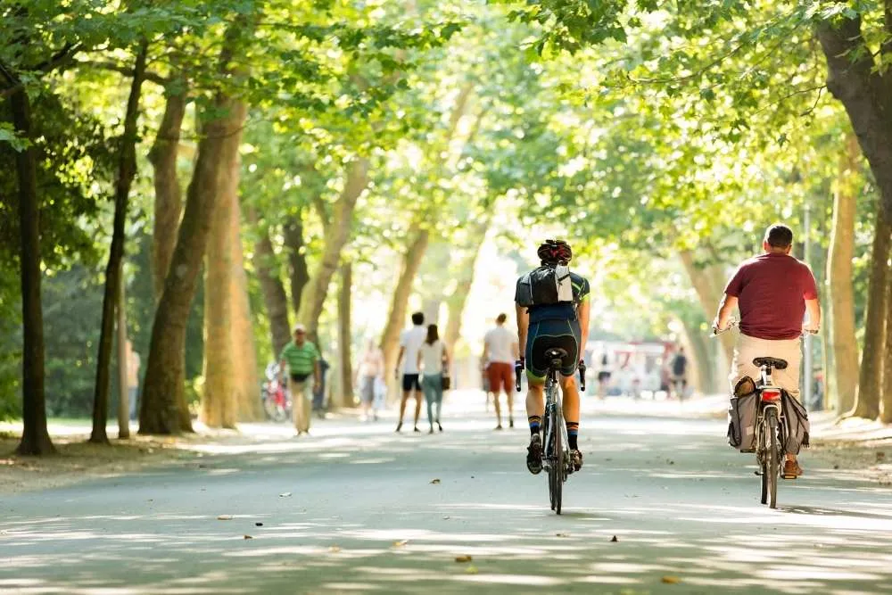 Cyclist in Vondelpark, Amsterdam