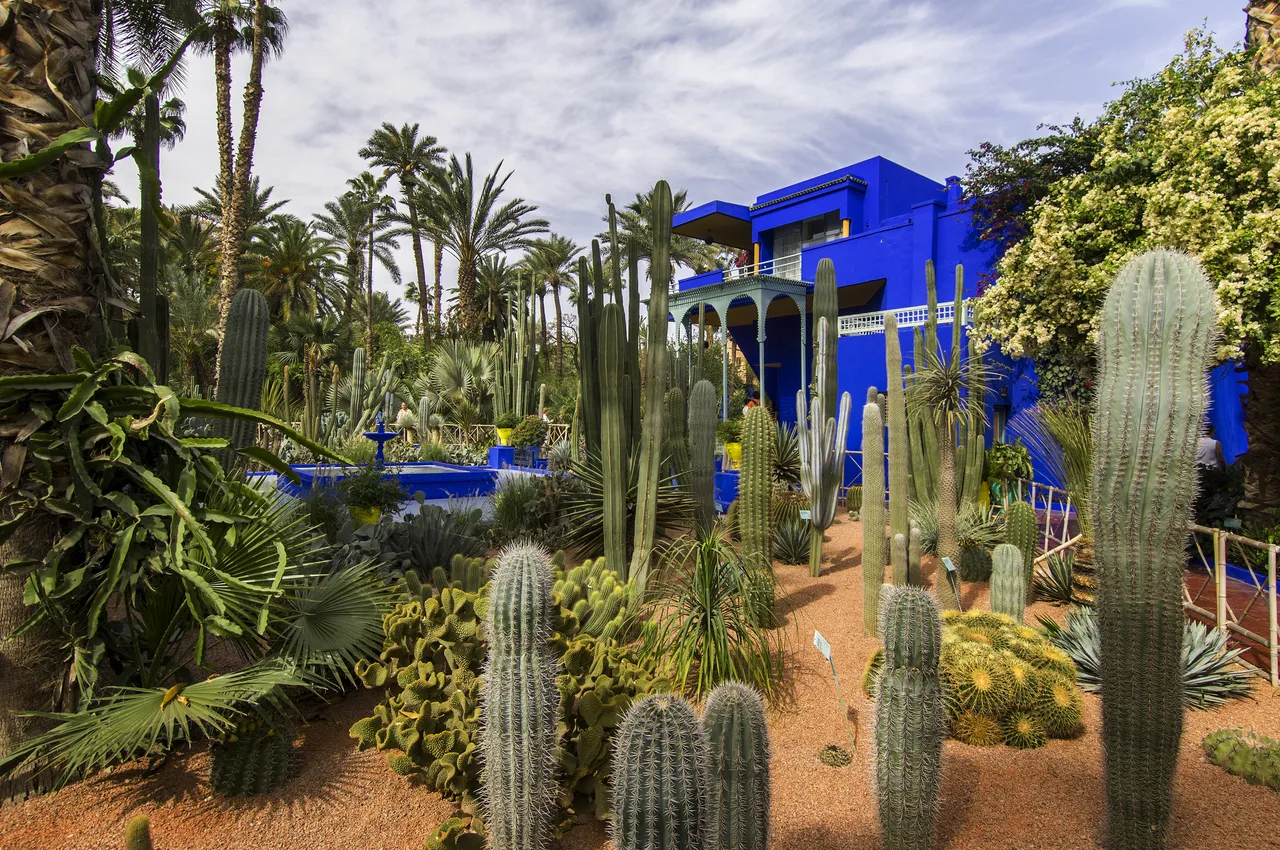 the Majorelle Garden