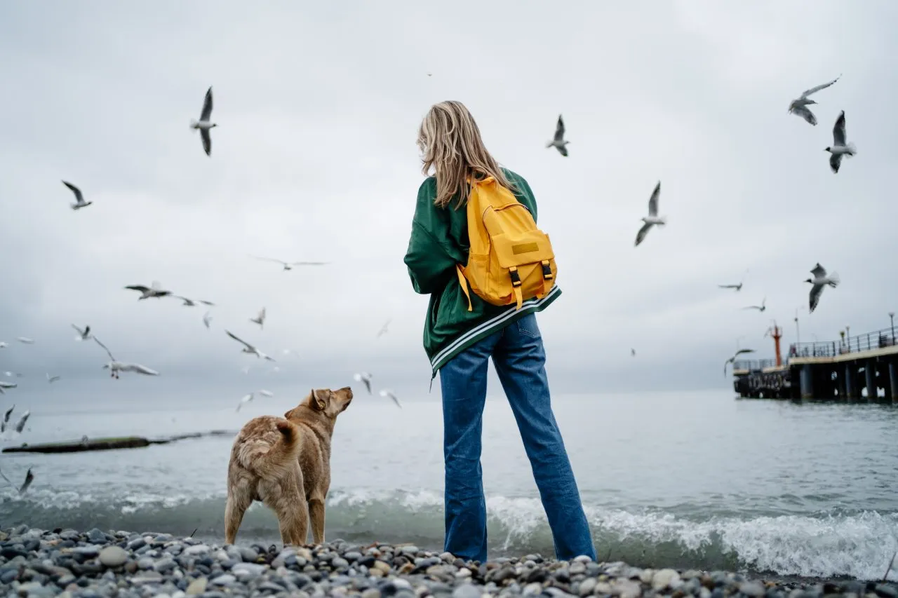 Woman feeding seagulls standing with dog at seashore
