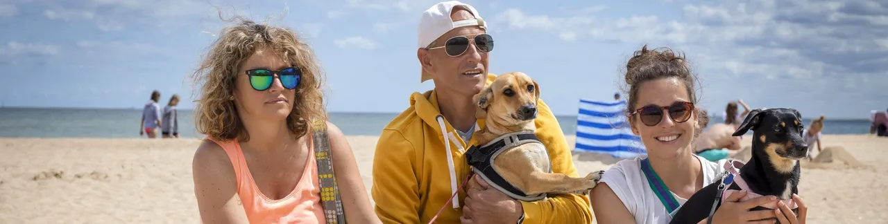 Your Guide To The Best Pet-Friendly Airlines For Your Next Vacation