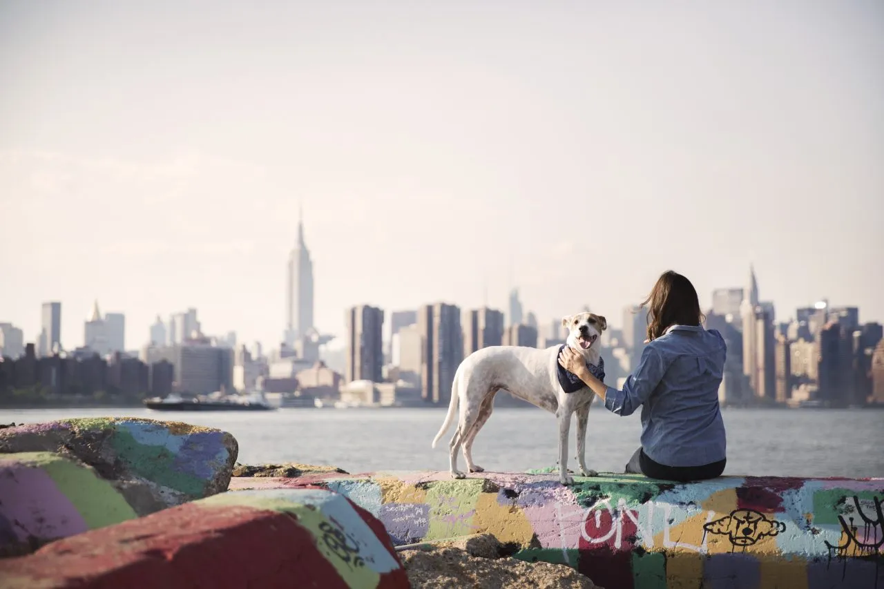 Woman and dog sitting on colorful rocks with New York City skyline in the background.