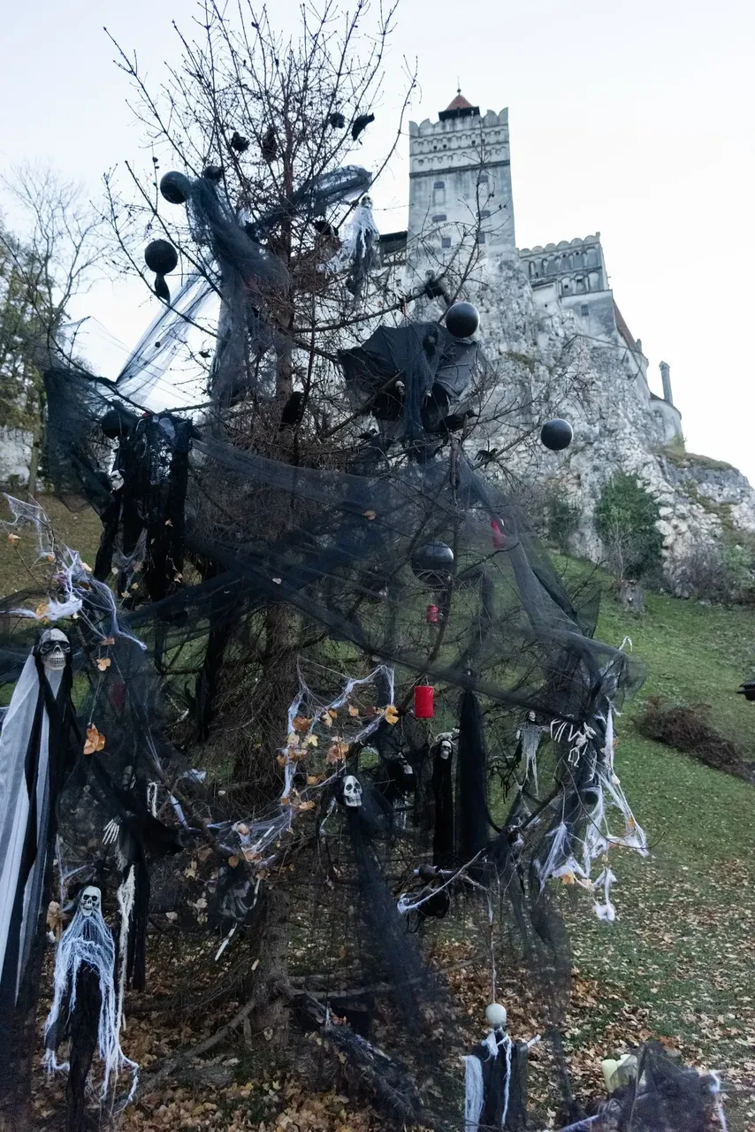 A spooky view of Bran Castle in Romania, ready for a Halloween celebration