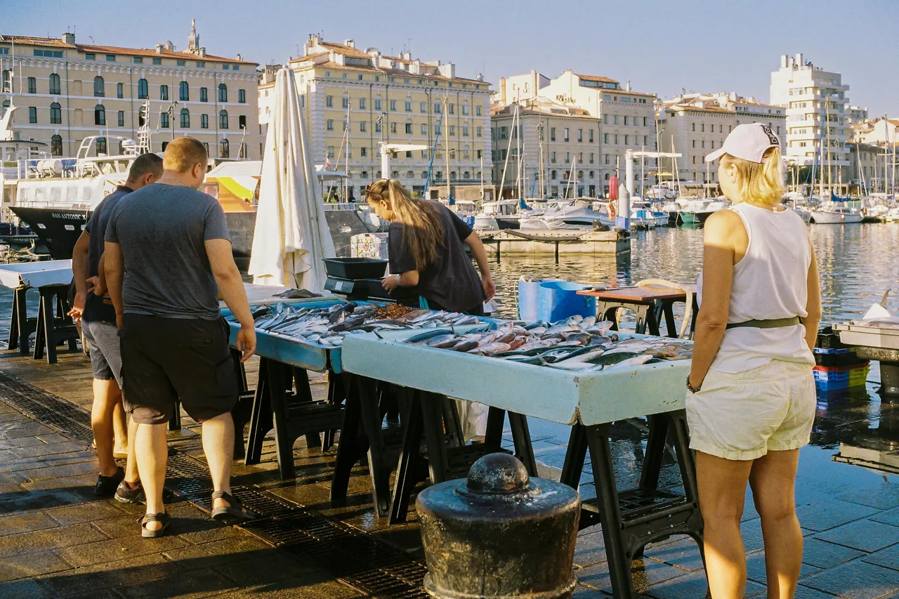 fish market in the Marseille port