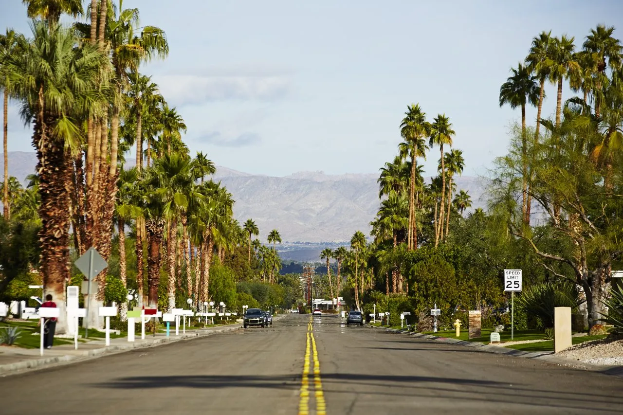 Suburban street with palm trees, big road, California