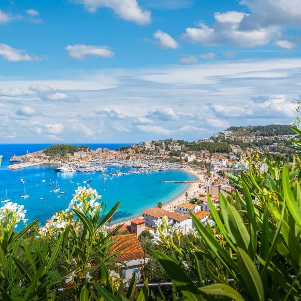 Aliméntate de playa: La guía definitiva para viajar barato a Palma