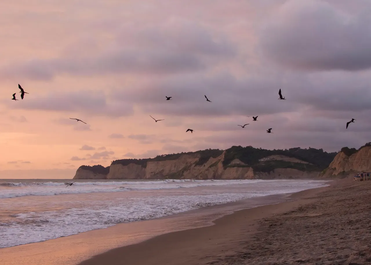 Si quieres seguir disfrutando del ambiente de la playa, pero no buscas una locura sin fin, el pequeño pueblo de Canoa es tu sitio - Shutterstock