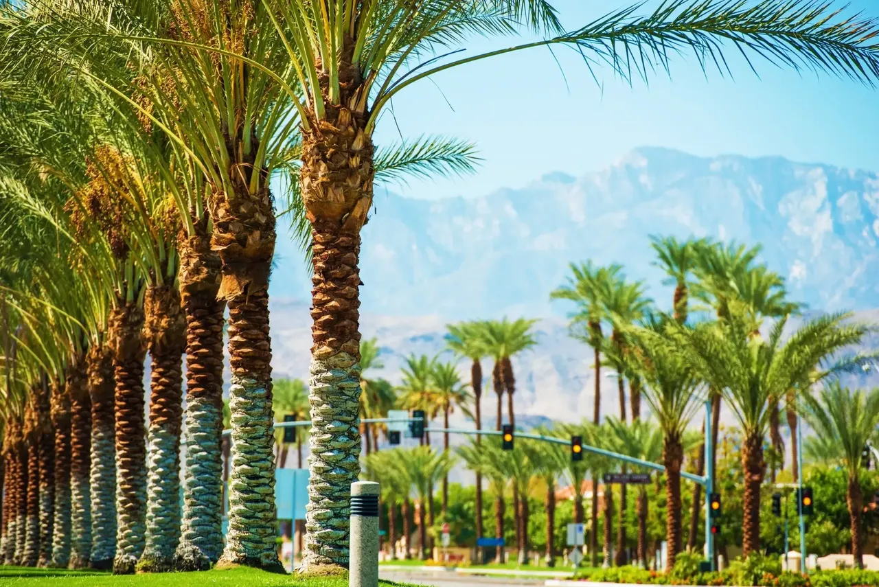 The city was named after hot springs and palms scattered around — Shutterstock 6 best places to travel in November 2019
