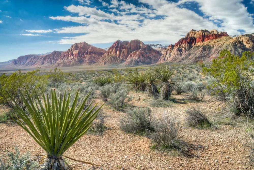 Scenery at Red Rock Canyon National Conservation Area — Getty Images