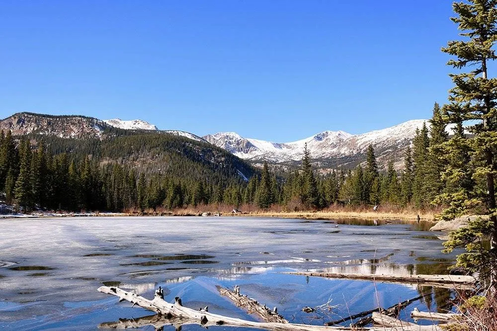 Cold water swimming is commonplace at Nederland’s Frozen Dead Guy festival
