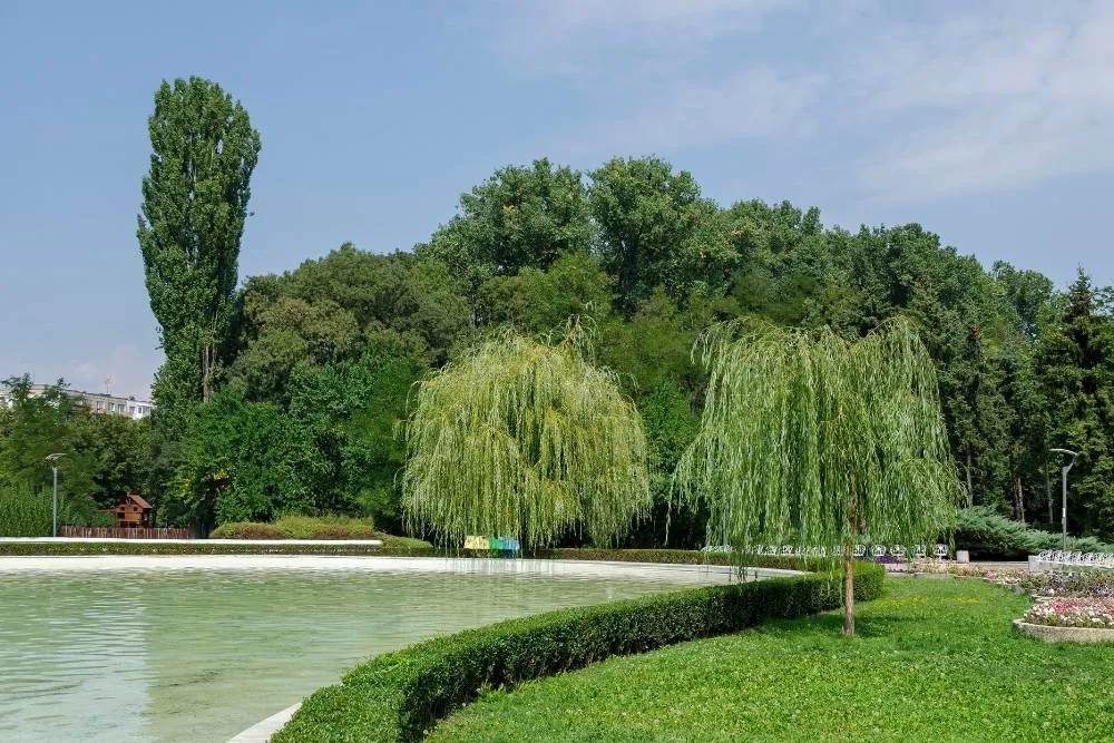 South Park in Sofia — iStock