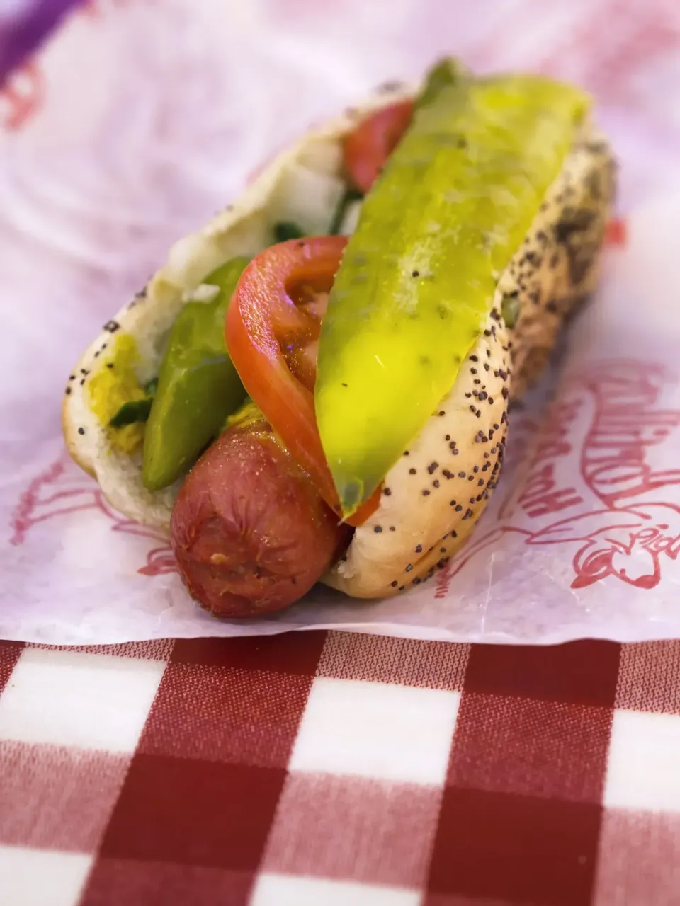 Pestrobarevná fotka z podniku Portillo’s zobrazující slavný hot dog v chicagském stylu se všemi klasickými přílohami.