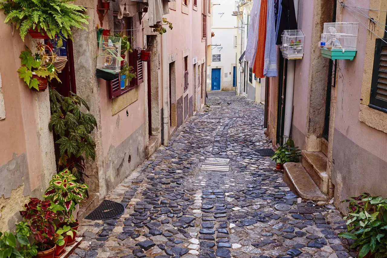 A peaceful, narrow street in the Alfama district with pastel-colored houses