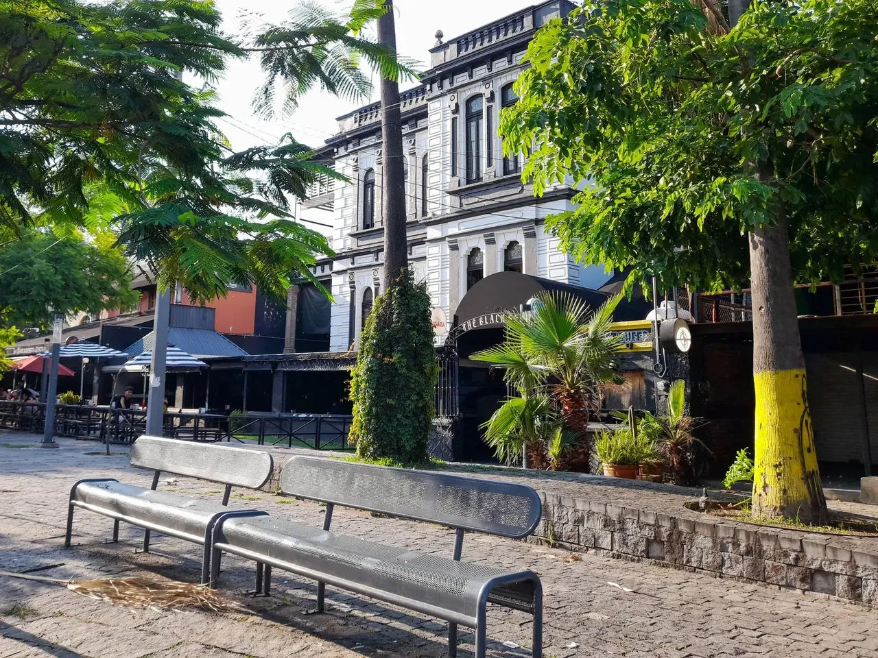 Az Avenida Chapultepec látképe egy kis parkkal, amit a város nyüzsgése és fák vesznek körül