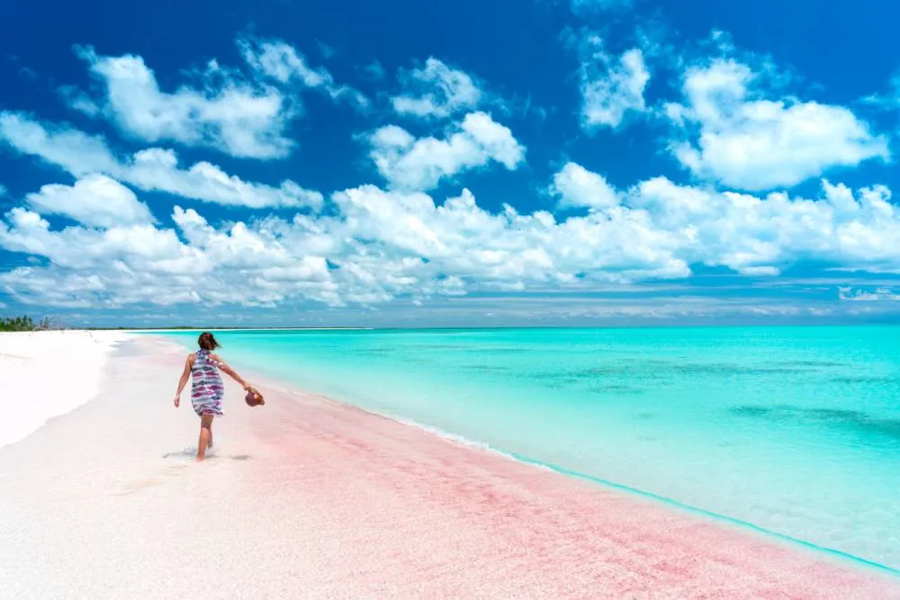 Person walking by the sea on pink-sand beach — Getty Images